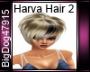 [BD] Harva Hair 2