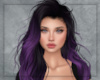 Baillif Purple Frost