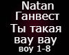 Ty  takaya vay vay