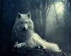 Snow Wolf Rug