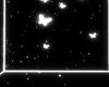 B + W BG Anim.