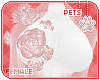[Pets]Valerie|chestroses