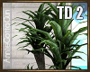 TD 2 Blue Potted Plant