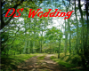 DS Wedding Platform