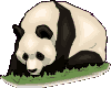 Animated Panda