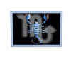 scorpio picture 6