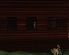 Cute brown cabin