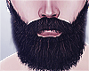 KZ_Long Beards