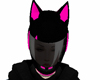 Cat Black Pink