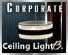 *B* Corporate Ceil Light