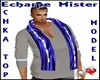 Echarpe Mister CHKA TOP 