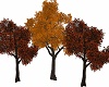 Autumn Trees