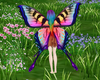 Rainbow Butterfly Wings