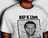 Fly High K Lion 🕊️