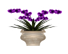 Purple floral vase