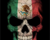 Mexican Skull