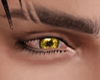 Xstar Eyebrows