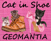 Cats on shoes fillers