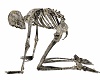 Halloween Skeleton Chair