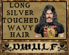 Long Wavy Silvered Hair2