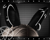 !TX - Bunny Ears