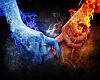 Fire and Ice Picture