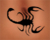 BBJ Belly Scorpion F