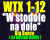 WStodoleNaDole /REMIX
