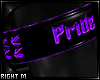 Pride Armband R
