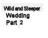 Wild n Sleeper Wedding 2