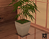 MayePlant Bamboo