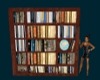 CC - Wooden Bookcase
