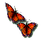 mariposas en movimiento