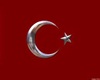 türk bayraklı kolye