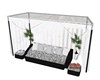 C- Couche Black White