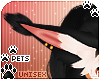 [Pets] Zorro | ears v3