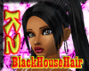 [K2] BlackHouseHair