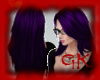 (GK) Purple Qin Lin 2