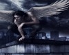 Fallen angels 