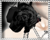 [M]NECK  BLACK ROSE
