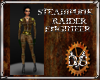 Steampunk Raider Enginer
