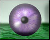 TSK Shirakawa Eye Lilac