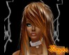 Calypso marron 