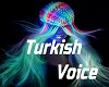 ✈  Turkish Voice