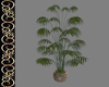 Ballroom Plant 3
