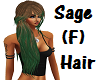 Sage Hair (F) [request]
