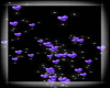 Rising Purple Heart