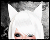 [SS] Fox - White Ears