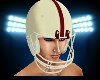 Fantasy FB Helmet 49er