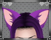 {B}Cat Ears Purple